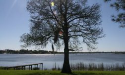 cropped-cropped-cropped-img_4579.jpg